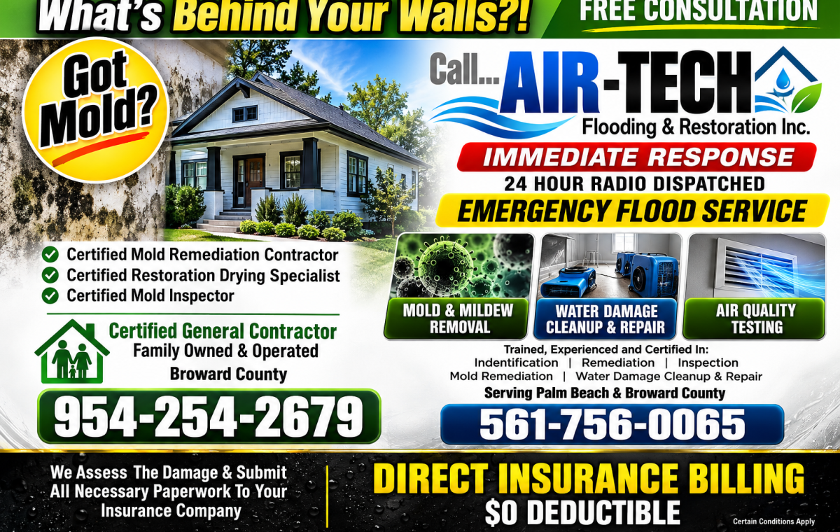 Air Tech Mold Restoration Flyer