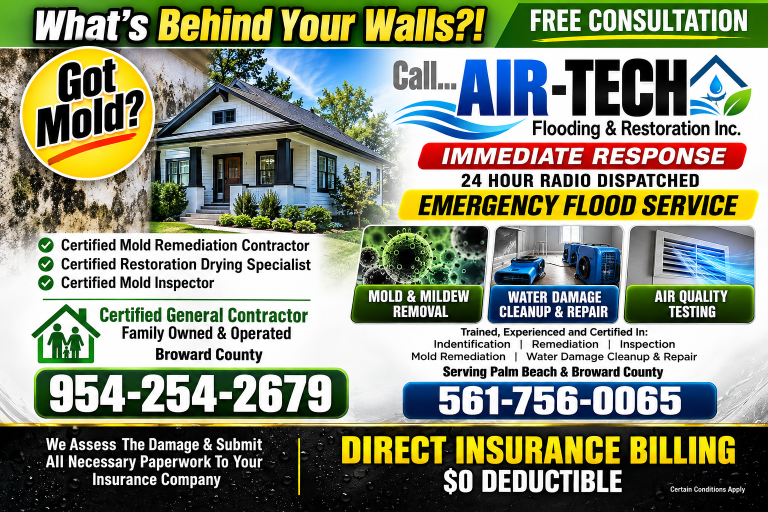 Air Tech Mold Restoration Flyer